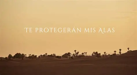 Queremos Saber 12-11-2025